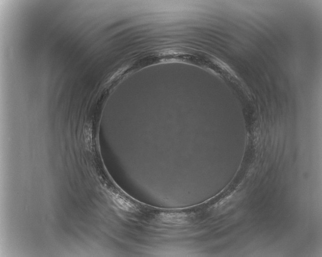 X0000063460825200601231416