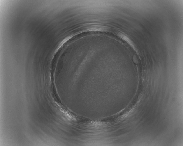 X0000063460829200601231416