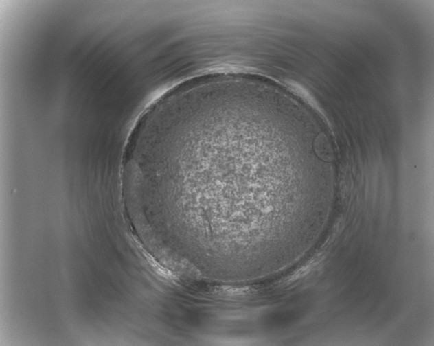 X0000063460831200601231416