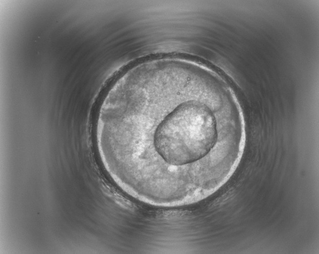 X0000063460832200601231416