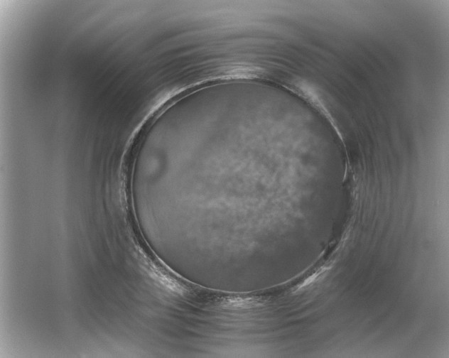 X0000063460835200601231416