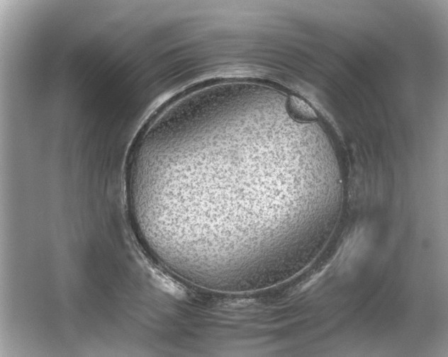 X0000063460837200601231416