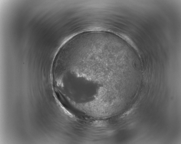 X0000063460839200601231416