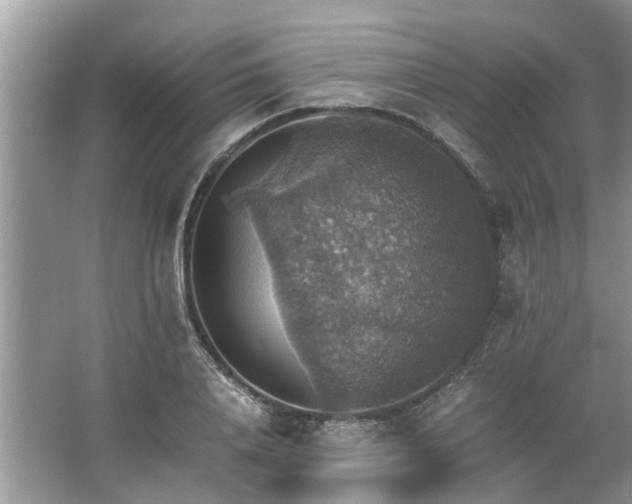 X0000063460840200601231416