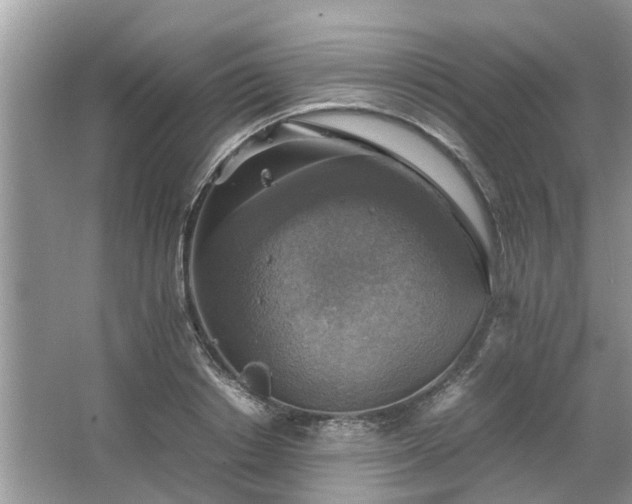 X0000063460842200601231416