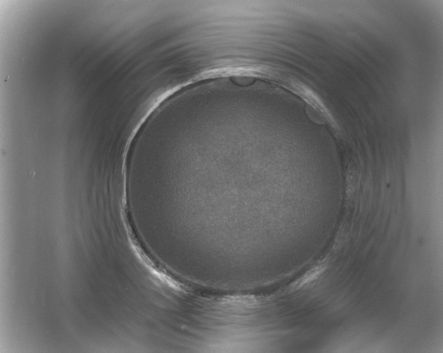 X0000063460844200601231416