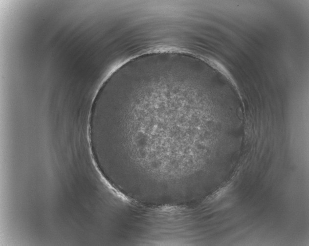 X0000063460847200601231416