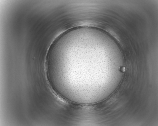 X0000063460848200601231416