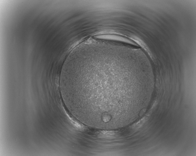 X0000063460849200601231416