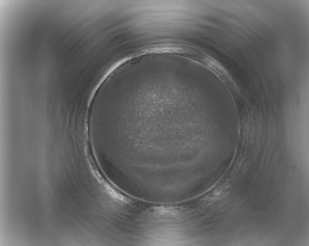 X0000063460852200601231416