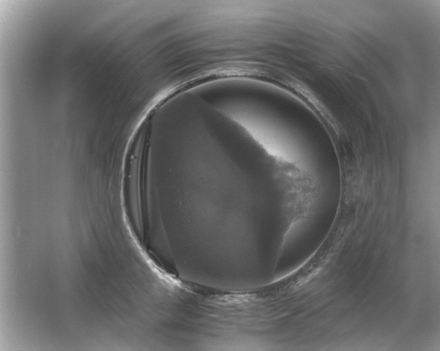 X0000063460853200601231416