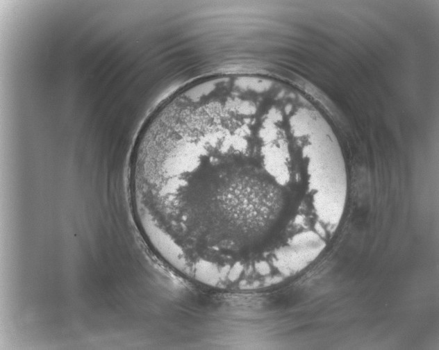 X0000063460856200601231416