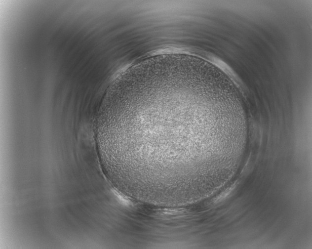 X0000063460857200601231416