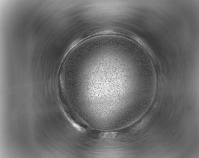 X0000063460858200601231416