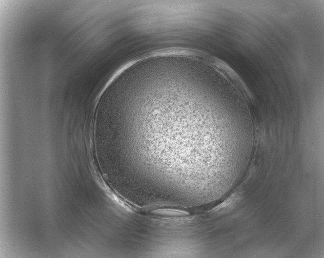 X0000063460860200601231416