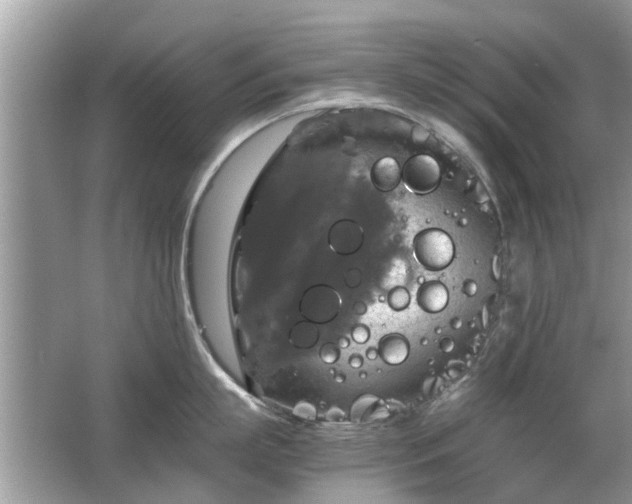 X0000063460863200601231416