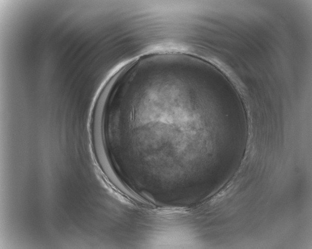 X0000063460864200601231416