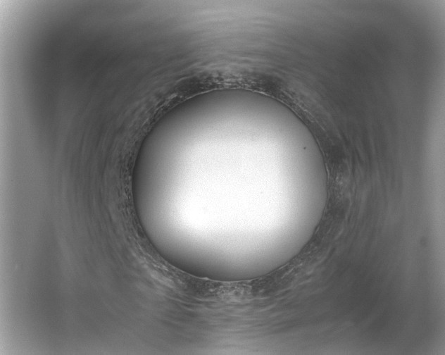 X0000063460865200601231416