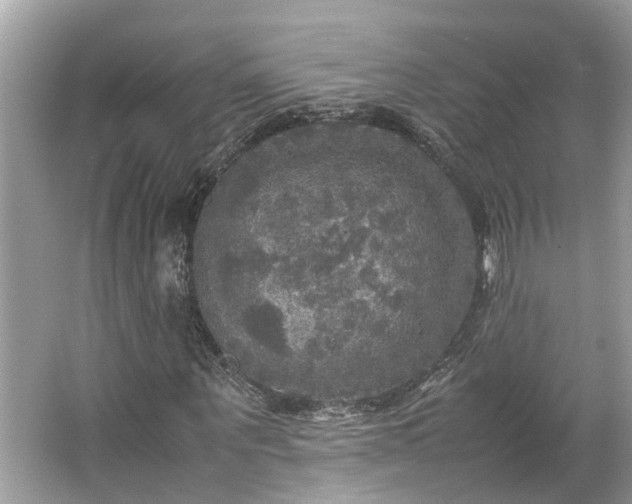 X0000063460867200601231415