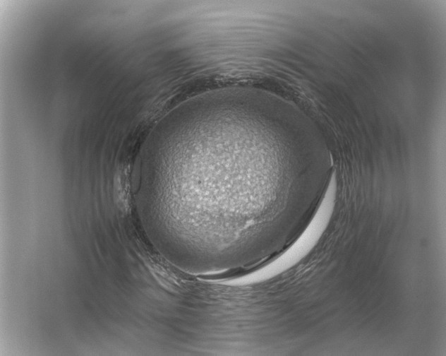 X0000063460868200601231415