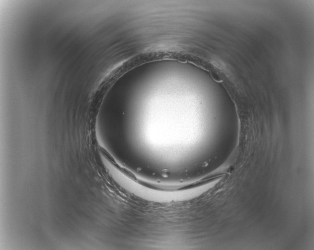 X0000063460872200601231415