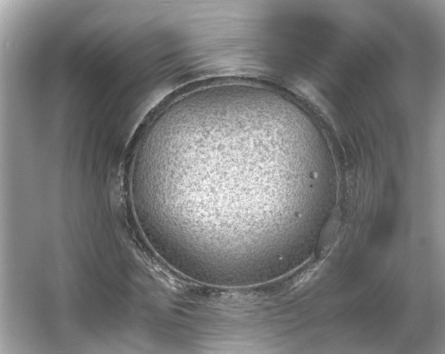 X0000063460875200601231415