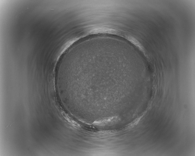 X0000063460877200601231415