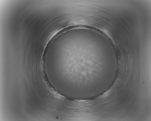 X0000063460879200601231415