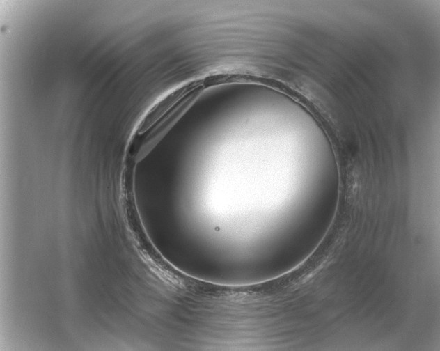 X0000063460880200601231415