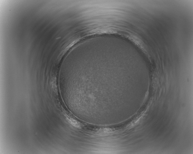 X0000063460881200601231415