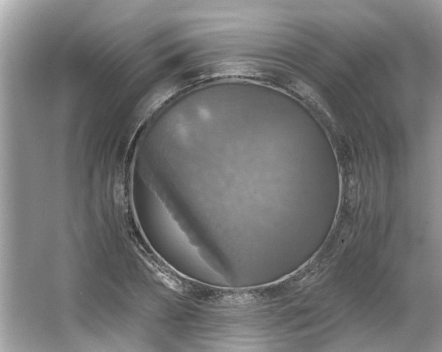 X0000063460882200601231415