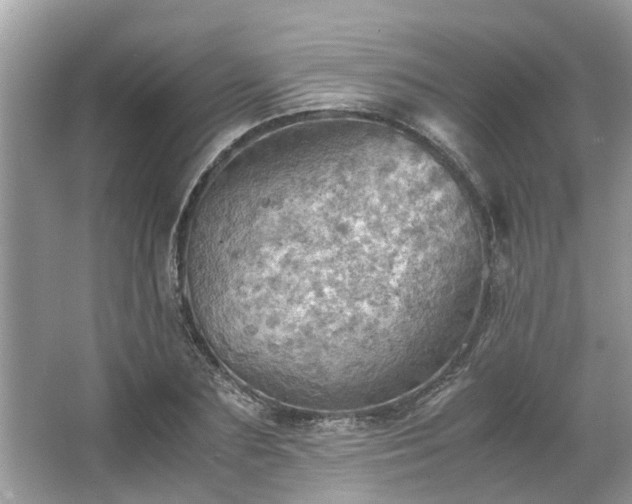 X0000063460883200601231415