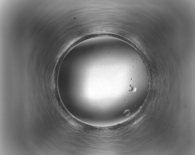 X0000063460885200601231415