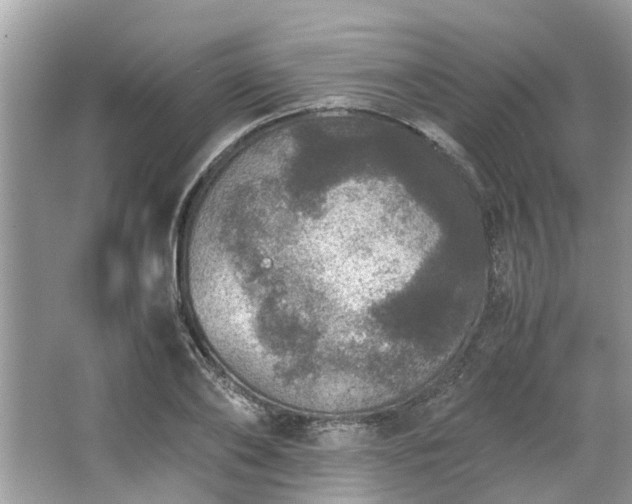 X0000063460886200601231415