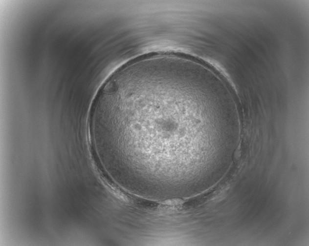 X0000063460887200601231415