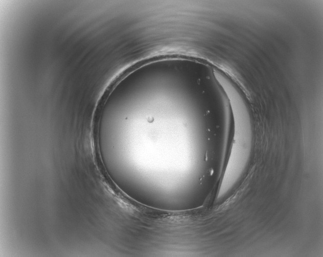 X0000063460888200601231415