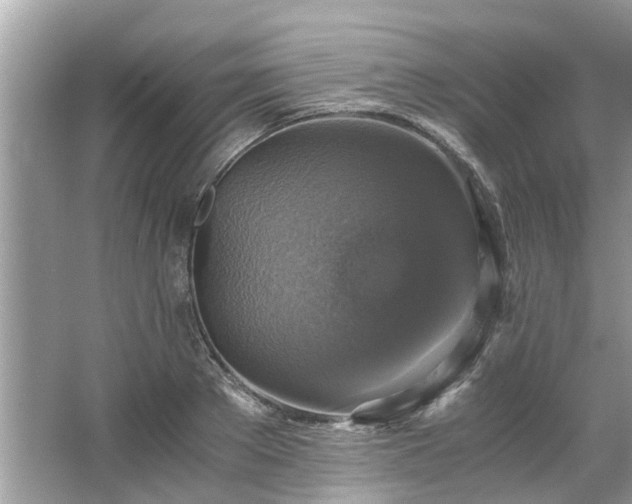 X0000063460889200601231415