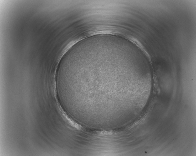 X0000063460890200601231415