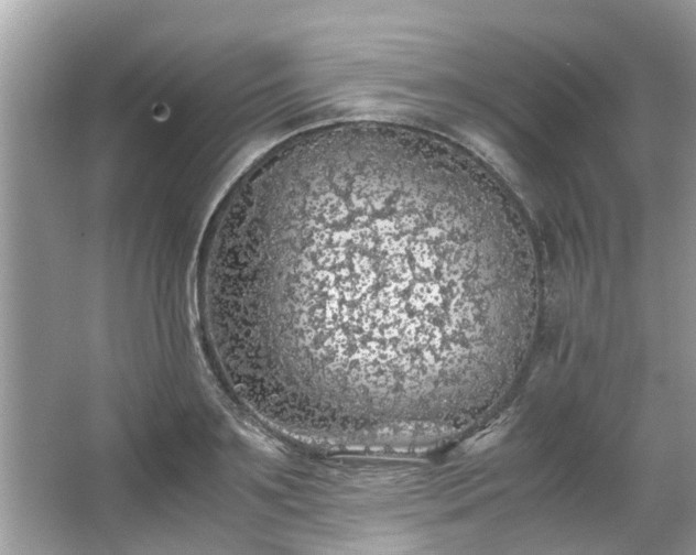 X0000063460891200601231415