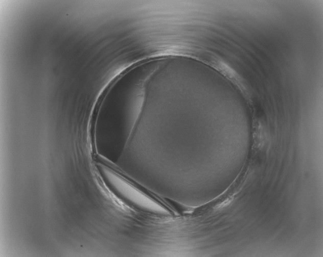 X0000063460892200601231415