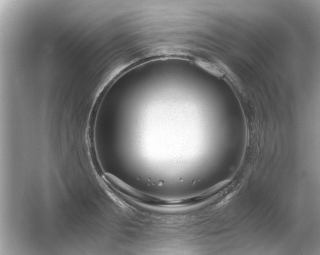 X0000063460893200601231415