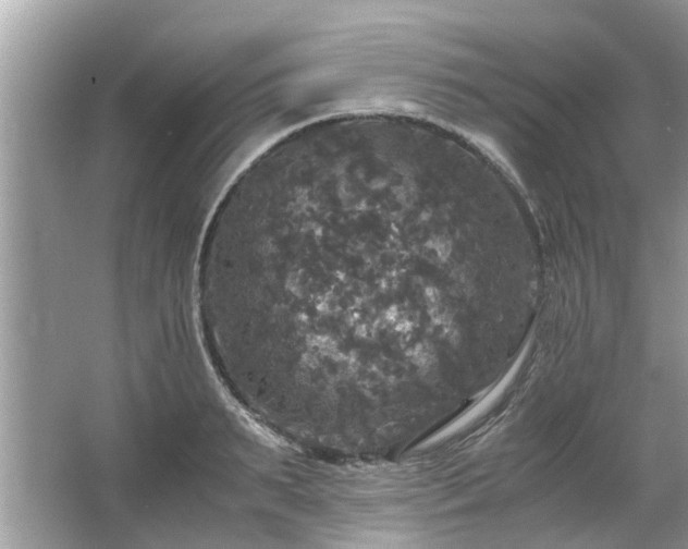 X0000063460895200601231415