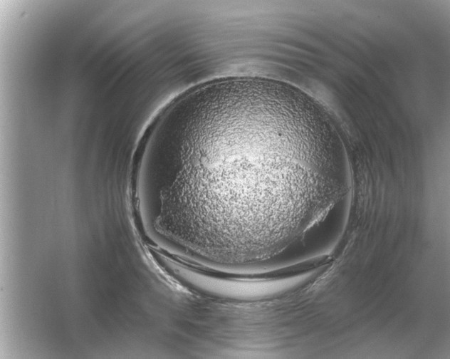 X0000063460896200601231415