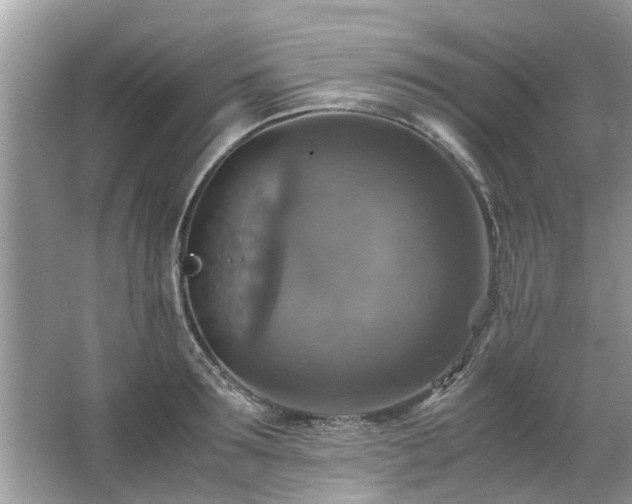 X0000063460899200601231415