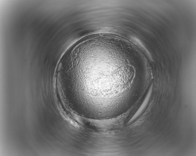 X0000063460900200601231415