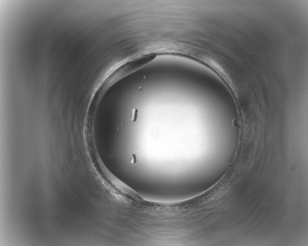 X0000063460901200601231415