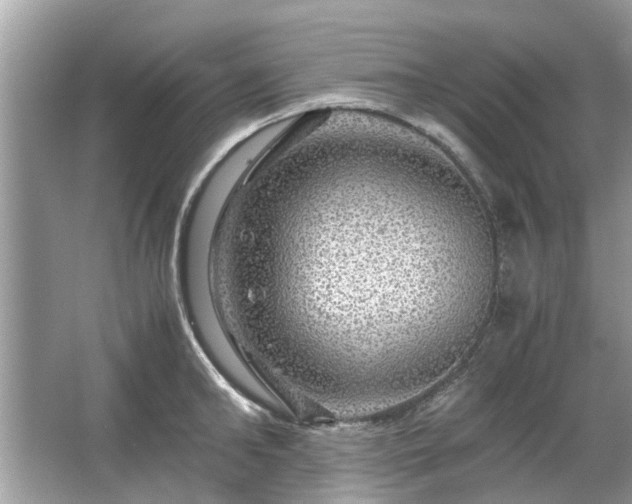 X0000063460902200601231415