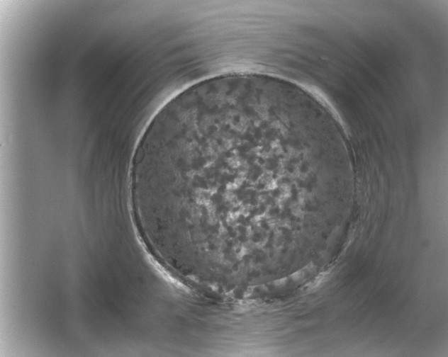 X0000063460903200601231415