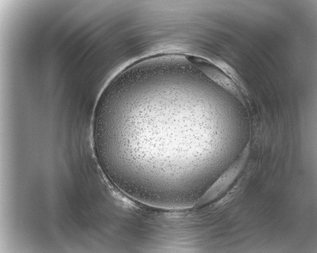 X0000063460904200601231415