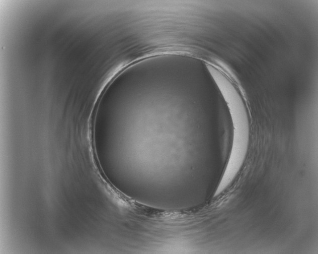 X0000063460907200601231415